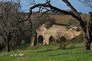 acquedotto molacce  (foto Ibelli)